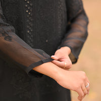 SABLE SCRIPT